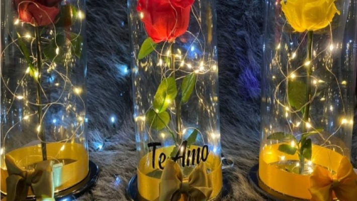 La Floristería de Jesús, Lámparas, Mariquita, Tolima